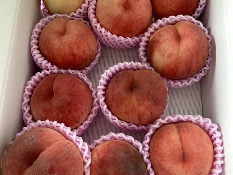 🍑桃の王様　川中島白桃　約3kg　8～14玉　【ASIAGAP認証農場：津軽農園】8月下旬　採れたて農家直送【朝どれ】