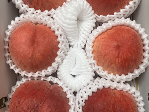 【夏のギフト・７月下旬】かたい桃「おどろき」約3kg・9～12玉１箱山梨県笛吹市八代町産