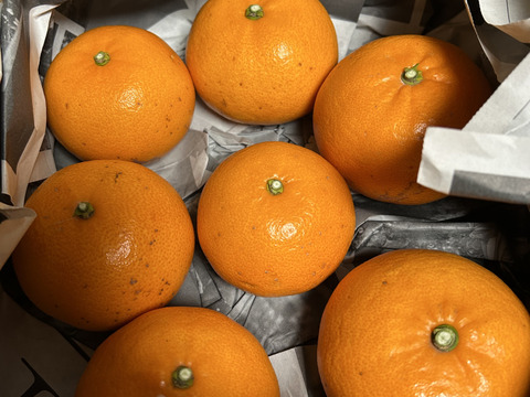 【人気２品種食べ比べ】せとか＋甘平 各1kg 家庭用