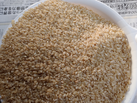 玄米、きぬ光、風袋込みの5キロ(炊く際の水量は、普段通りで)