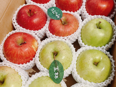 在庫わずか🍎大人気🍎サンふじ、王林詰め合わせ3キロ箱 ミックス