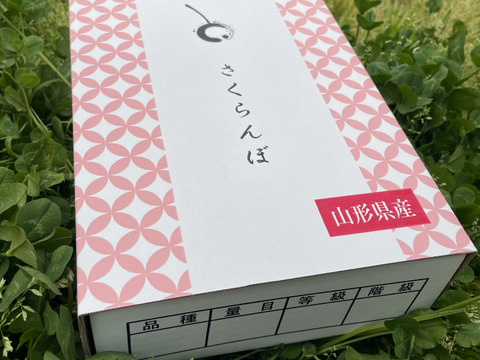★週末限定価格★限定5★【朝どれ】《紅秀峰》さくらんぼ 山形県東根産 700g L.2L バラ詰め