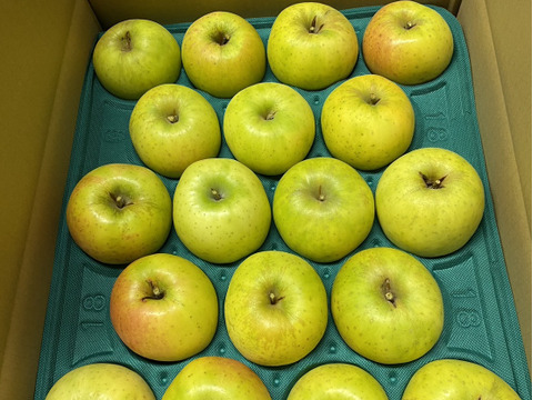 希少品種！特別栽培「青林」家庭用訳あり・5㎏