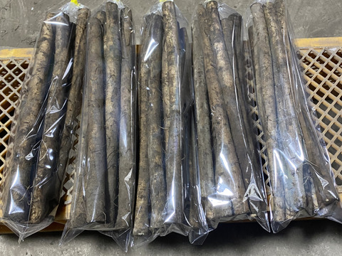 青森のおいし〜い　ごぼう　土付き　４kg