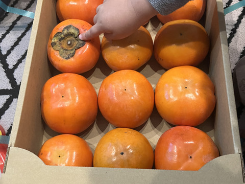 あま～い和歌山晩秋の味　富有柿　家庭用小箱（3㎏前後）