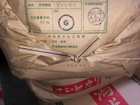 【おまけ付き】令和５年　新潟県産コシヒカリ　反町の【玄米】・精米はとても食べやすいですよ（３０㎏）