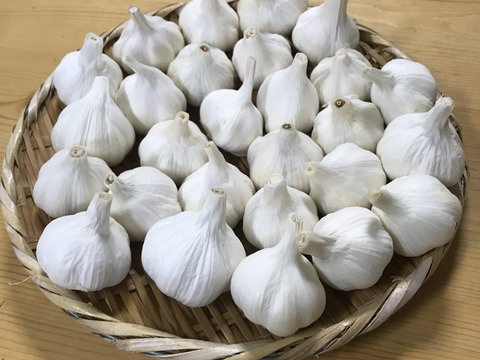 これぞ『夏にピッタリ』ガツンとくるにんにく