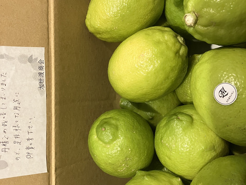 食べてみんさい！広島特別栽培レモン◆農薬不使用◆2kg