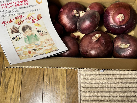 訳ありレッドオニオン❣️2kg〜玉ねぎ大国淡路島からの玉ねぎ