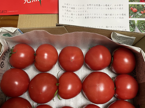 かわいいサイズのトマト