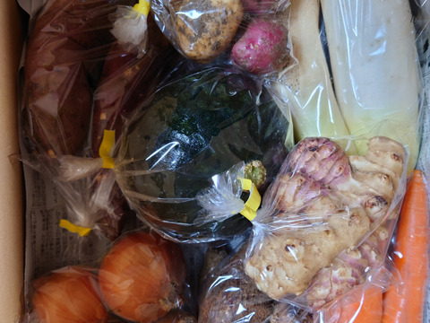 旬の野菜15種類詰め合わせセット