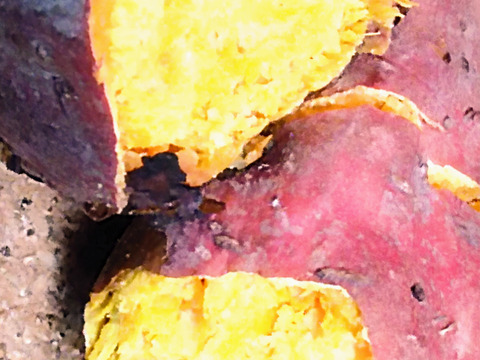 コロコロさつまいもセット❕色んな味が楽しい一口サイズの可愛いさつまいも