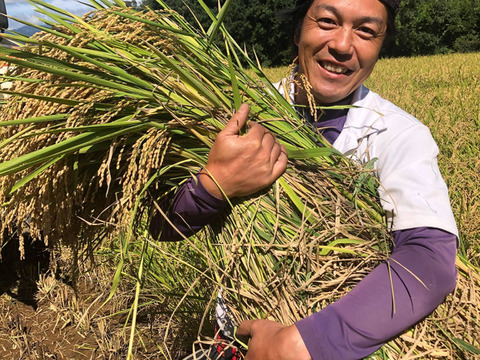 令和5年産【 玄米15kg】信州産 特別栽培米『縁結び』大粒の品種です！（5kg×3袋）