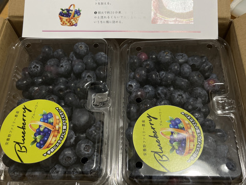 ☆令和7年 生ブルーベリー☆農薬不使用 5㌔ ✨終わります✨【食べチョク高評価No.1】ブルーベリー約1キロ