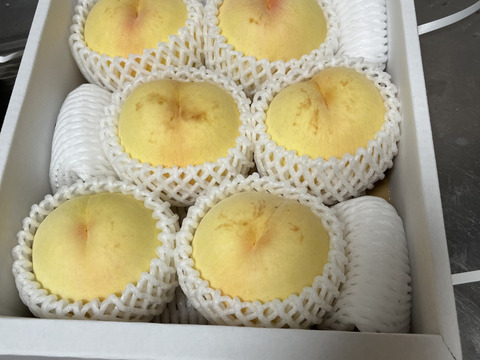 訳あり桃】清水白桃（2kg箱）：岡山県産の白桃｜食べチョク｜産地直送