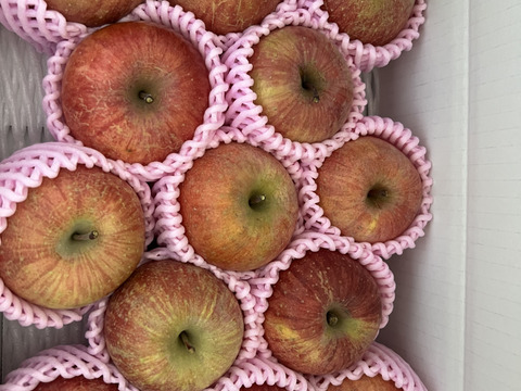 まるせい果樹園のサンふじ　贈答用　家庭用　自家用　小玉　約3キロ rfk