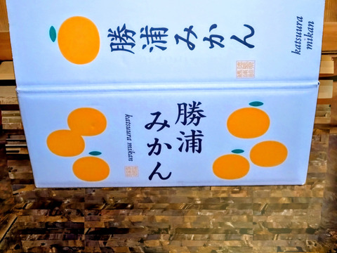 蔵出し貯蔵晩生みかん(3Lより大きいサイズ・5kg約)