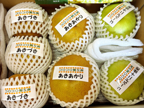 旬の梨食べ比べ‼️3～5品種】何が届くかお楽しみ😋贈答用2.5kg