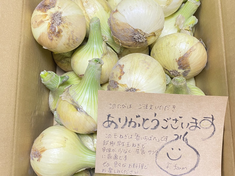 採れたて‼️淡路島産「新玉ねぎ🧅」約5kg