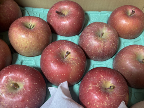 【販売中！人気商品】青森県産りんご「サンふじ」家庭用 キズ有 約5kg【美味・光センサー選果済】