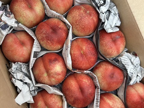 終盤❗️ネクもも🍑ハネージュ🍑3キロ箱　規格外　訳あり