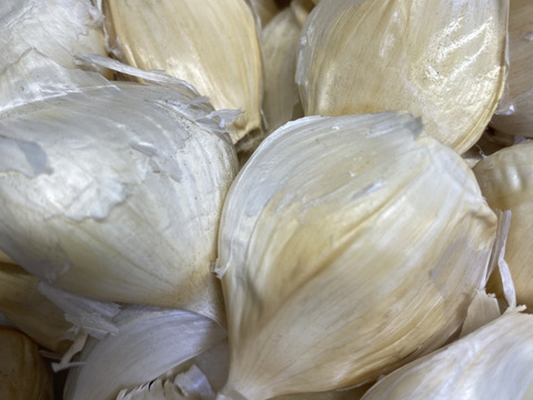 令和7年産　青森県産にんにく　バラ　５００g  訳あり