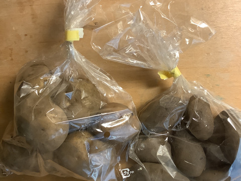 2026年も！畑から直送! 野菜ソムリエ農家　旬のカラフル野菜セット(約7,8品目)