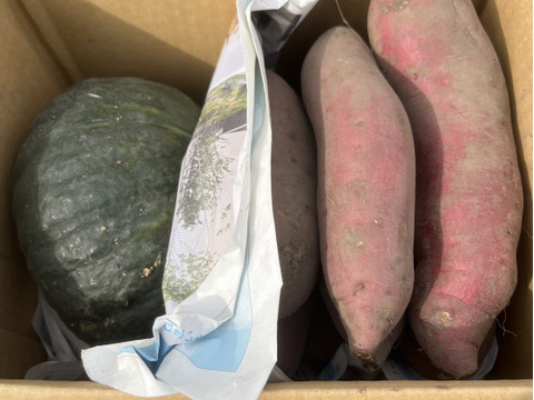 栽培期間化学肥料・農薬不使用「あまはづき」+栗カボチャセット！（かぼちゃ1玉+さつまいもセット）合計5kg