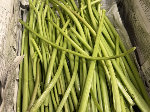 【朝採り当日発送】120年守る安曇野の湧水育ち。新鮮！シャキシャキ「茎わさび1kg」＆お試し生わさび（ご家庭用・100g)セット