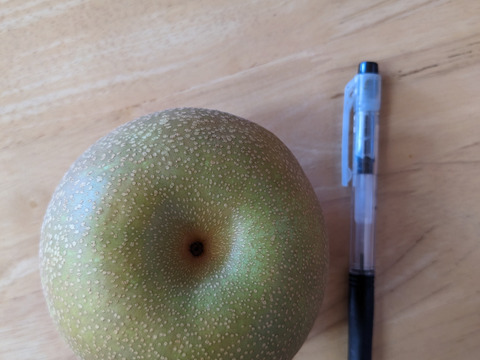 幸水呉羽梨玉数お任せ家庭用