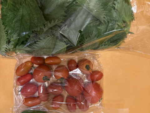 自然農法栽培農薬不使用　大葉　青シソたっぷり１００枚とサービス夏野菜セットでお届けいたします。８月半ばまで。