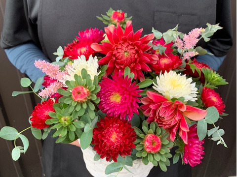 【日光園藝オリジナル】アスターと季節のお花アレンジメント