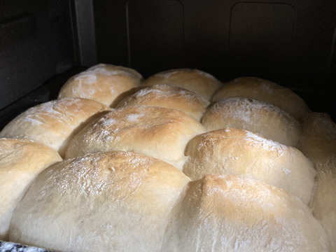 【北海道2023年十勝産】数量限定！
昔ながらの天日乾燥は超希少！
小麦粉ゆめちから（強力粉）　１ｋｇ

手作りパンやスィーツ、パスタ作り等にオススメ♡