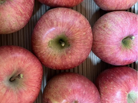 ご家庭用サンふじリンゴ　3kg