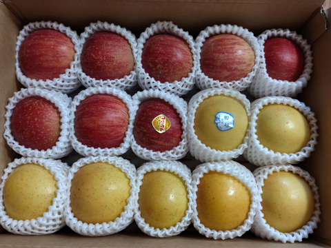 まるごとガブリっ！小玉・食べきりサイズMIXりんご【岩手奥州市江刺産】              小玉おまかせミックス3kg