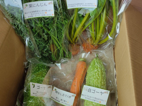 旬のお野菜セット（3～5品）クール便