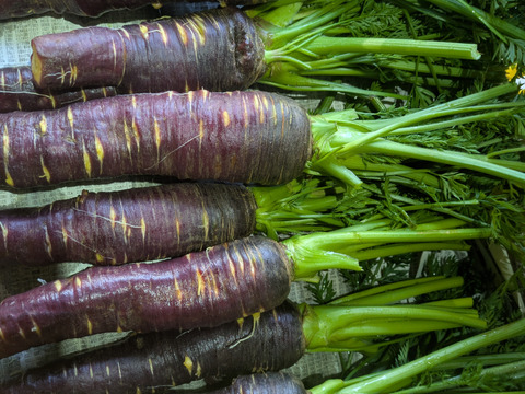 ❄️☃️冬の野菜セット☃️❄️