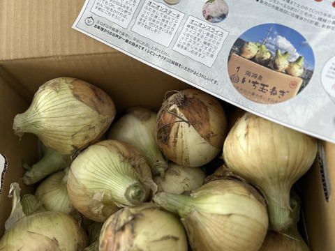 完売間近!!【祝!3年連続金賞🏆】淡路島新玉ねぎ5kg