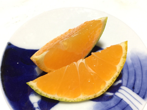 【 農薬不使用で育てました】早生みかん2kg