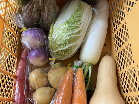 【京都府産】旬の定番夏野菜セット（10品）