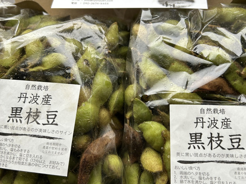 丹波産　自然栽培黒枝豆（1kg）500g×2袋