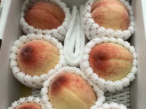 【200円🉐】温室桃「日川白鳳」計2.7kg(15〜24個入り)