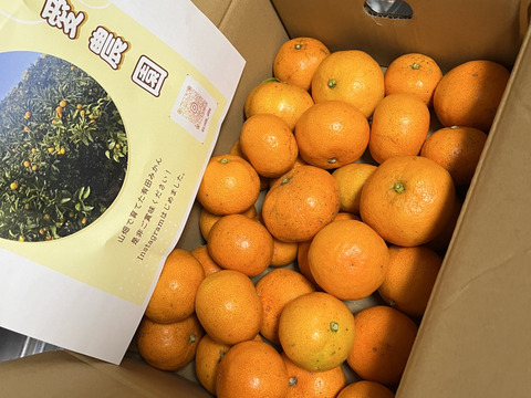 有田みかん混合3kg