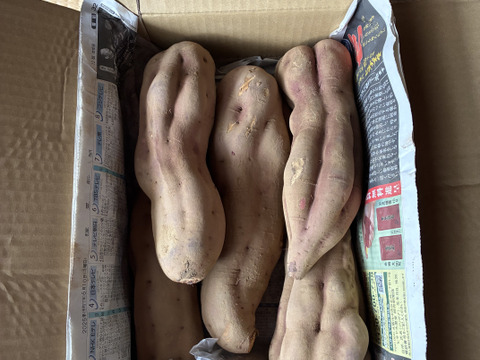 ガッツリさん向け❣️ホクホク食感！【 紅あずま】 4.8kg