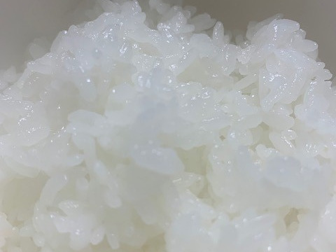 令和5年産　特別栽培米ミルキクイーン精白米20㎏（5㎏×4袋）