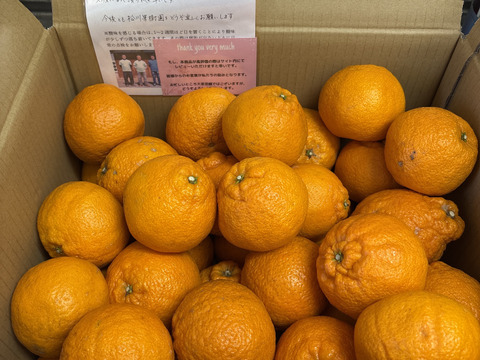 デコポン発祥地から不知火9kg（家庭用）〜雑誌「MORE」に掲載