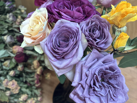 【ドライ】生花のような美しさを残したドライローズ　10本