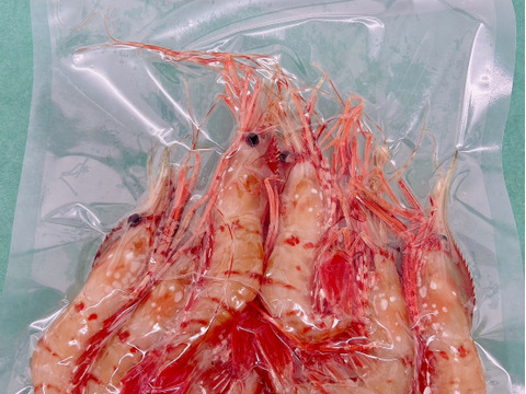 【冷凍】-60℃で超鮮度抜群！ボタンエビ中小混ざり3P900g