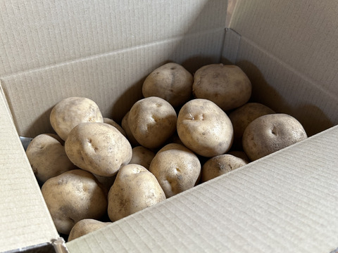 《北海道産》採れたて！じゃがいも(男爵)5kgサイズ混合