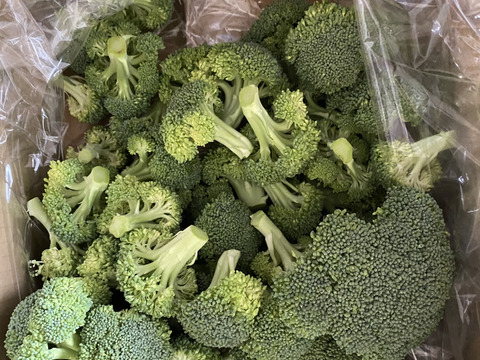 【期間限定】時短！！カットブロッコリー1kg